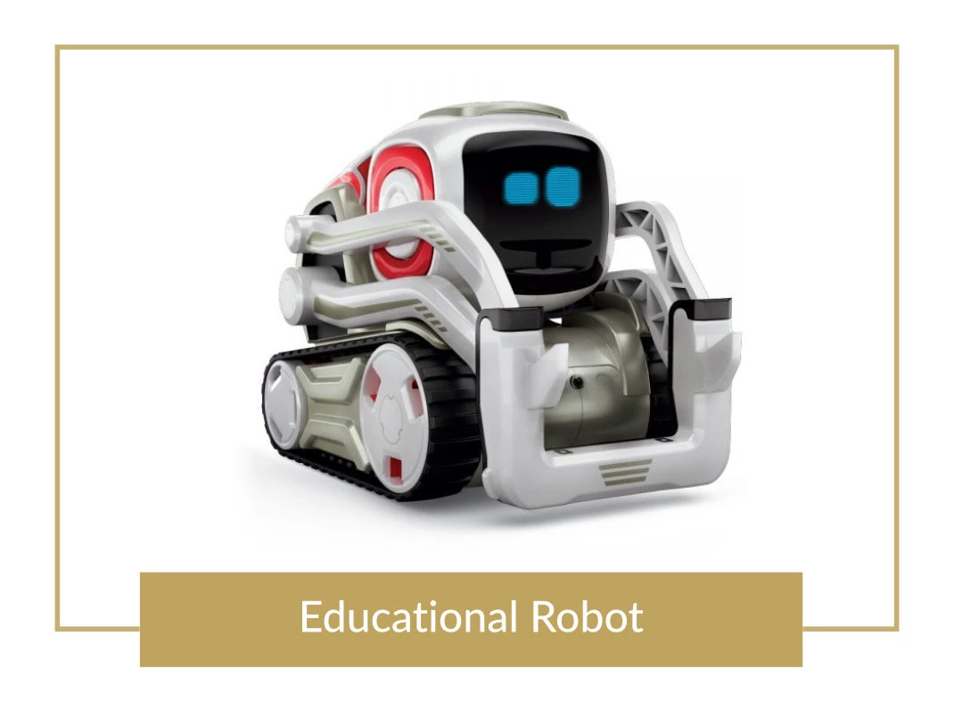 Educational Robot