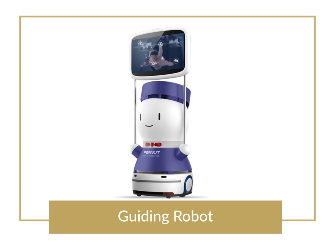 Guiding Robot