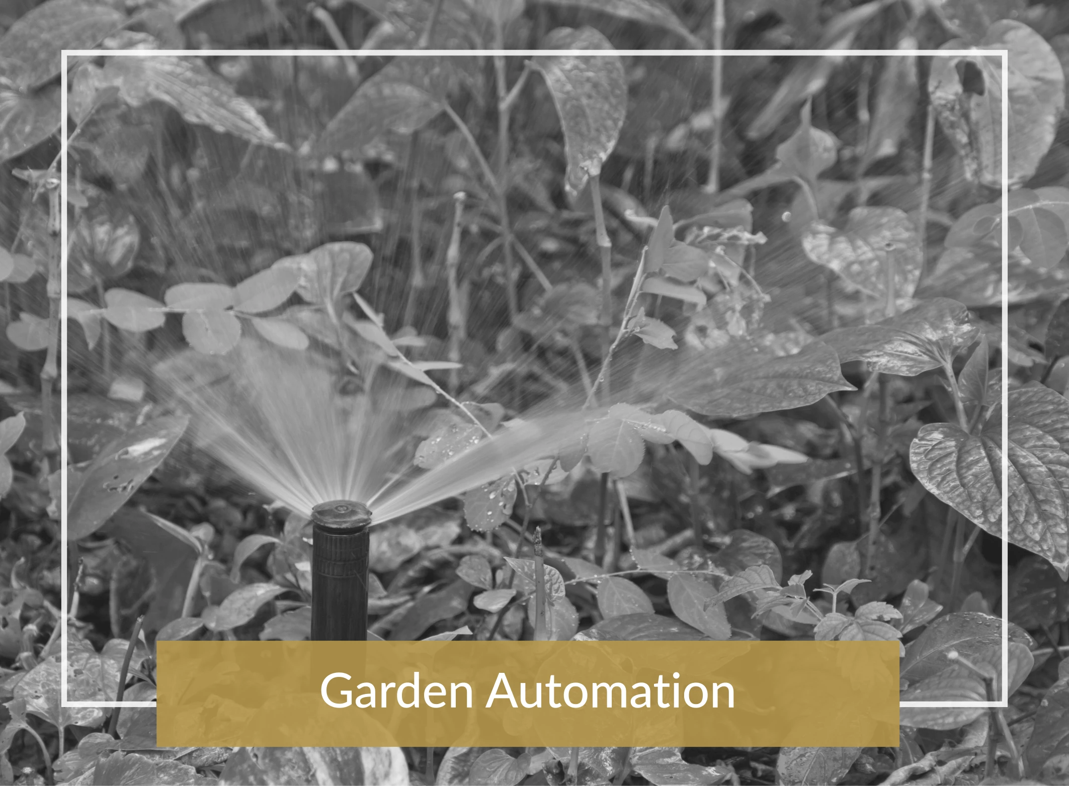 Garden Automation